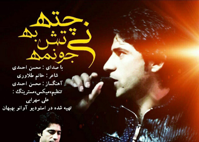 محسن احمدی نی چته